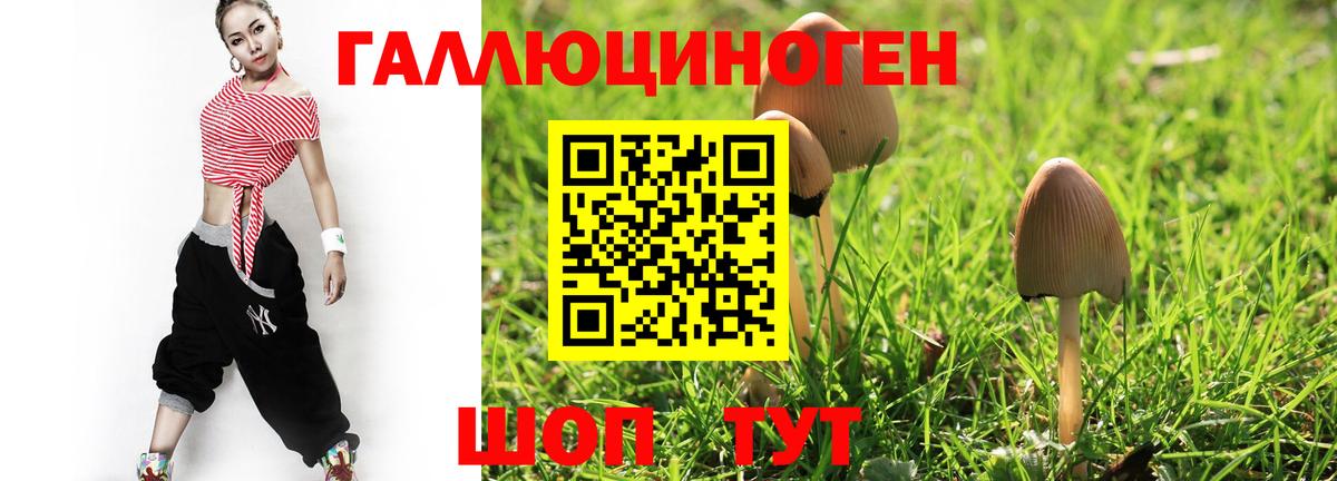 Энгельс  Псилоцибиновые грибы Psilocybine cubensis  Галлюциногенные грибы MAGIC MUSHROOMS  Вход с VPN 